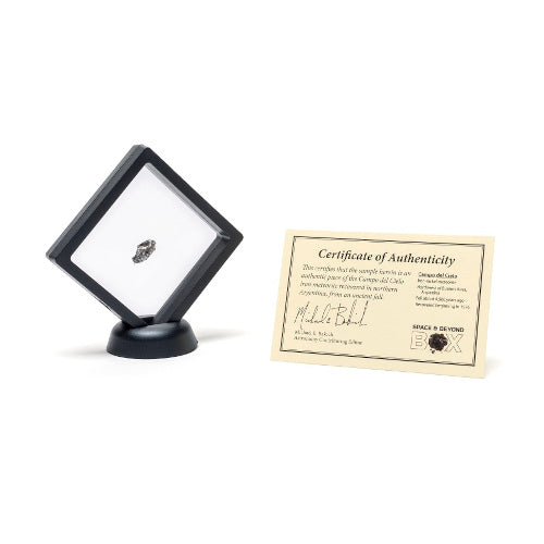 Campo del Cielo Meteorite