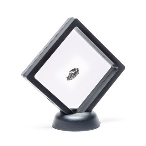 Campo del Cielo Meteorite