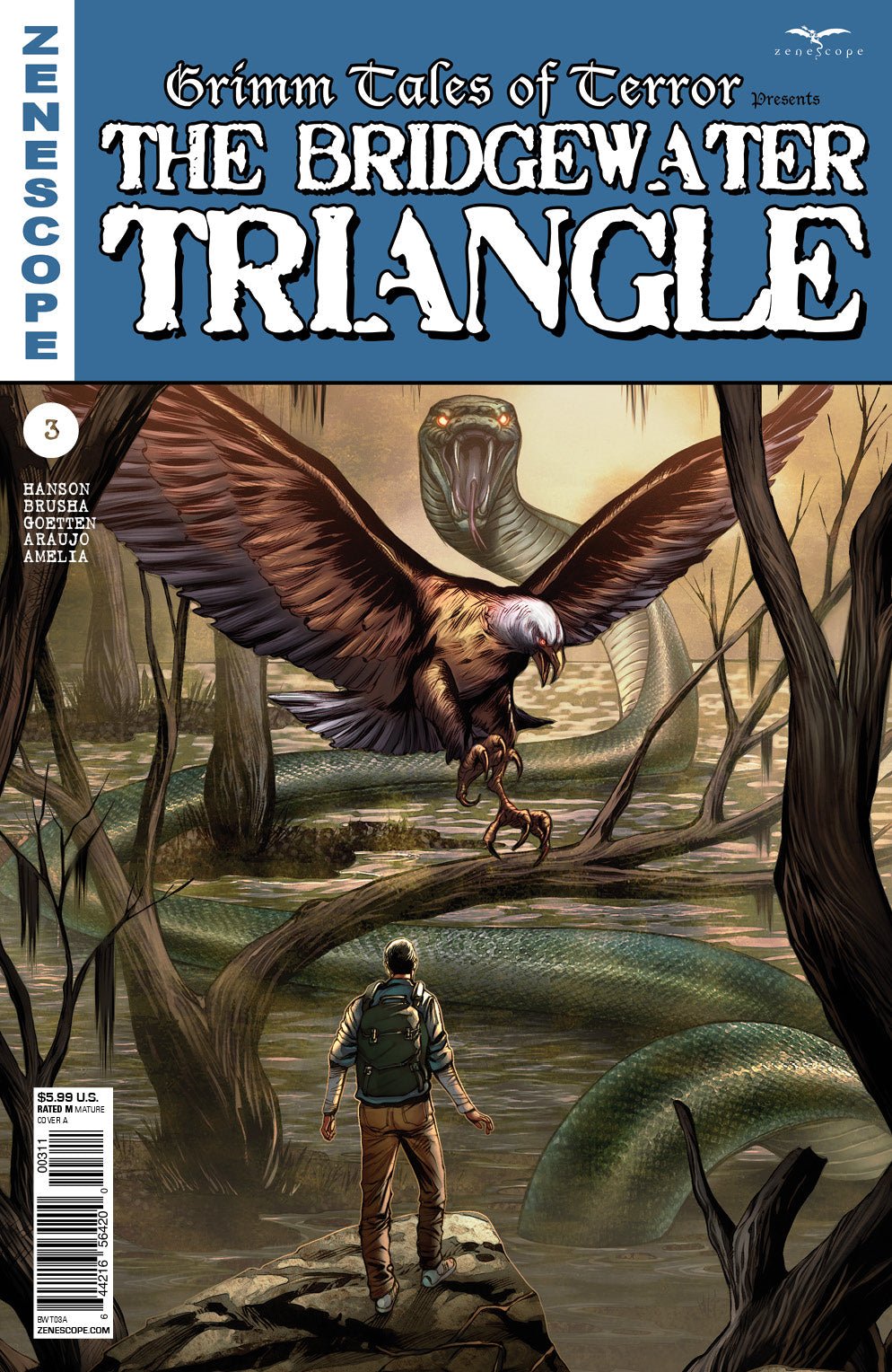 Bridgewater Triangle #3